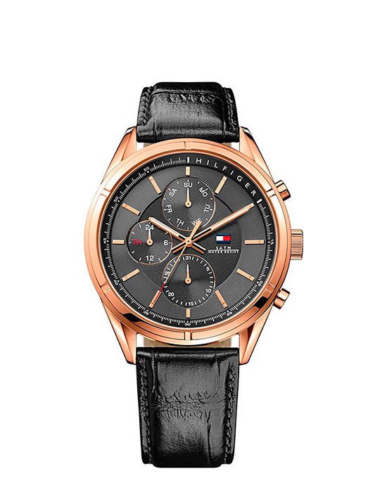 Часы Tommy Hilfiger Charlie 1791125